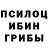 Галлюциногенные грибы ЛСД Nitish Carlin