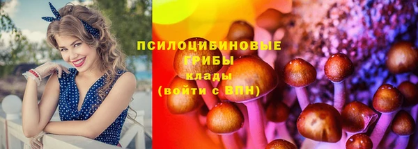 mdpv Киренск