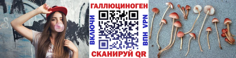 Купить где  Малая Вишера  Галлюциногенные грибы GOLDEN TEACHER 